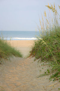 Scenic view of beach