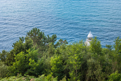 High angle view of plants by sea