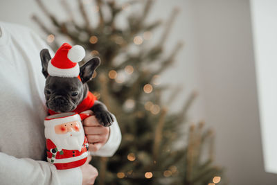 Close-up of christmas decoration