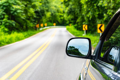 Car on road in forest