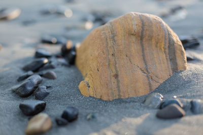 Close-up of pebbles at beach