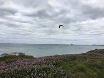 Scenic view of sea against cloudy sky