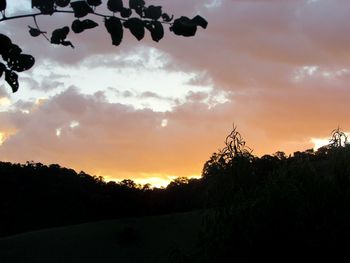 Silhouette trees against sky during sunset