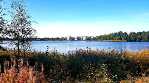 Scenic view of lake in forest against sky