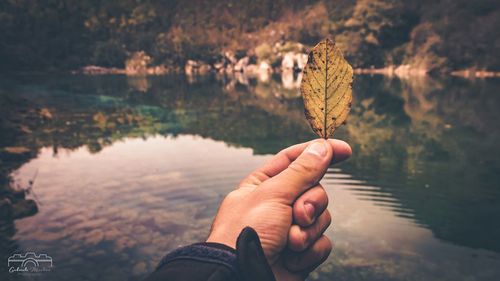 Midsection of person holding autumn leaf in lake