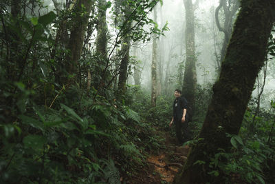 A man is walking on the path toward mountain top in the middle of forest