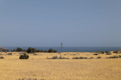 Scenic view of landscape in cabo de gata nature park, spain, against clear sky in summer