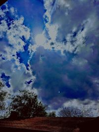 Low angle view of trees on field against sky