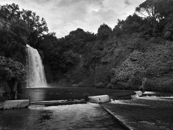 Scenic view of waterfall in forest