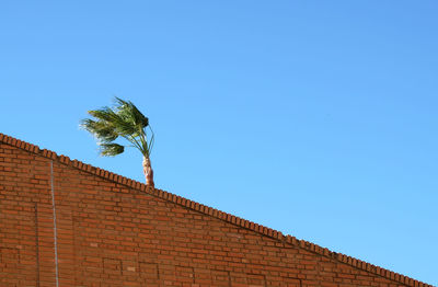 Low angle view of building against clear blue sky