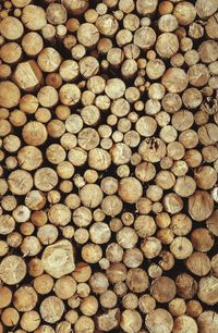 Full frame shot of logs in forest