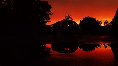 Silhouette of trees at sunset