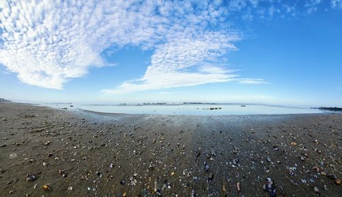 Scenic view of beach against blue sky