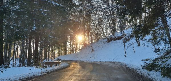 Snow covered road amidst trees against sky during winter