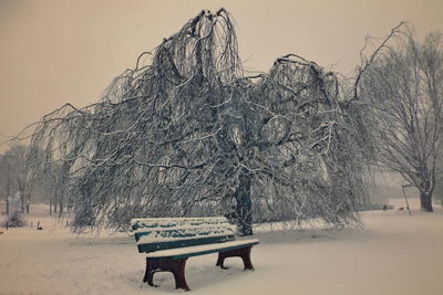 Bench in snow covered park during winter