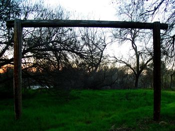 Bare trees on field against sky