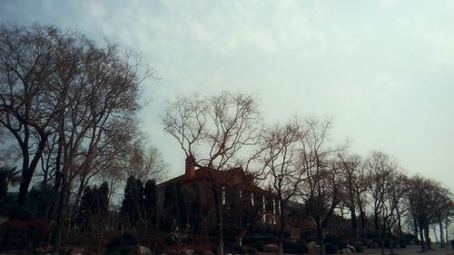 Low angle view of bare trees and buildings against sky