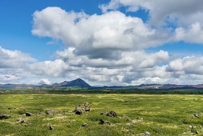 Scenic view of field against sky