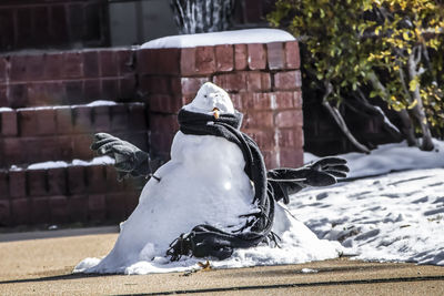 View of a bird on snow