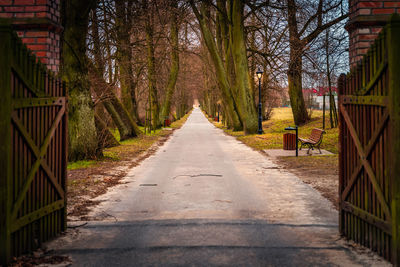 Empty road along trees