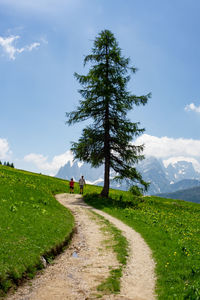 Road amidst trees on field against sky