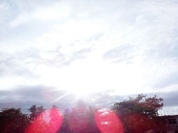 Low angle view of trees against sky