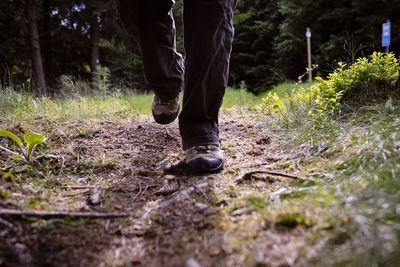 Low section of man standing on grass