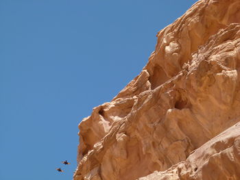 Birds flying near  rock formation against clear blue sky in wadi rum 