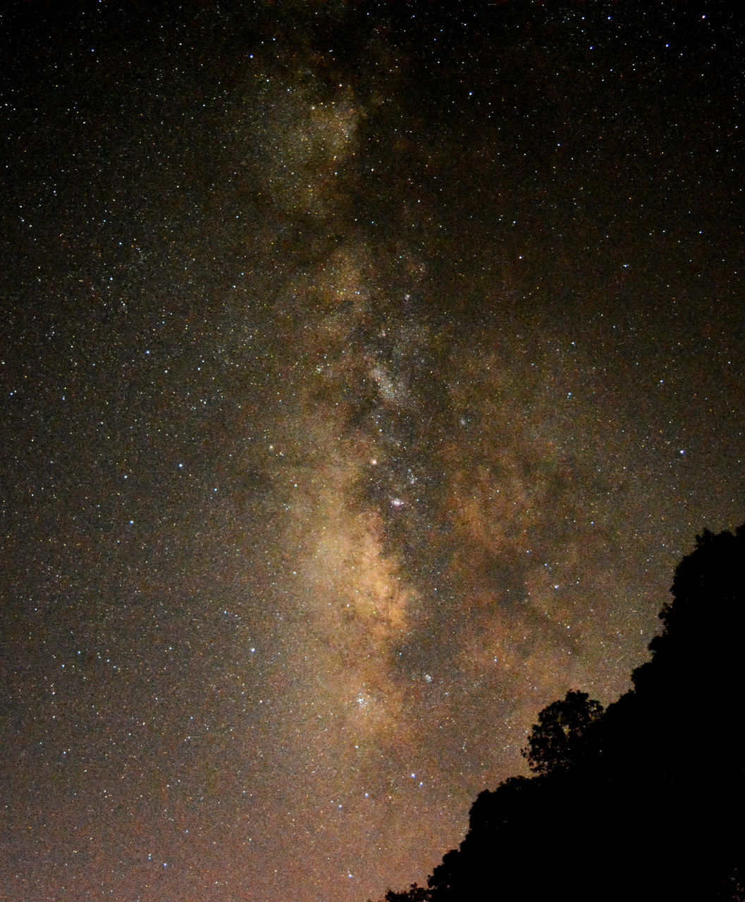 LOW ANGLE VIEW OF STAR FIELD AT NIGHT