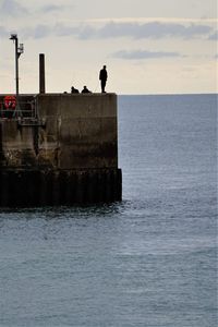 Silhouette bird perching on sea against sky