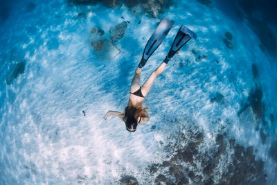 High angle view of bird flying over sea