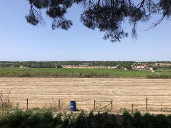 Scenic view of field against clear sky