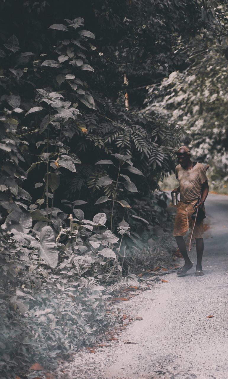 REAR VIEW OF WOMAN WALKING BY TREES