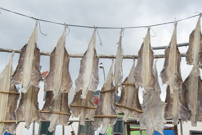 Low angle view of clothes drying on clothesline against sky