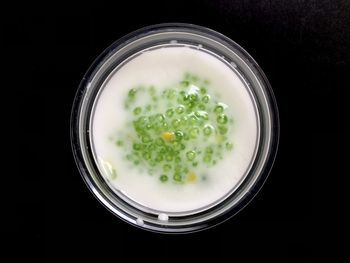 High angle view of salad in bowl