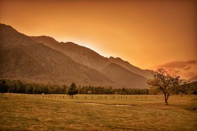 Scenic view of field against sky during sunset