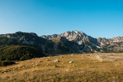 Scenic view of field against clear blue sky