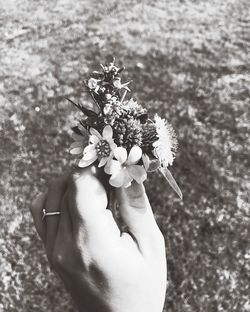 Close-up of hand holding flowers