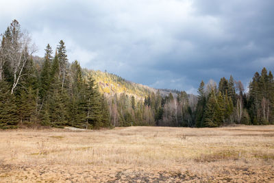 Scenic view of landscape against cloudy sky