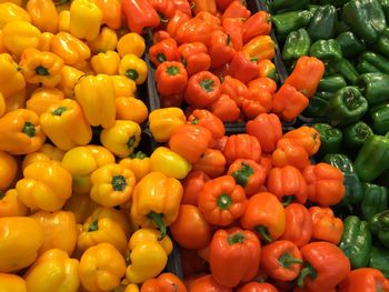 High angle view of multi colored bell peppers for sale in supermarket