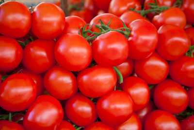 High angle view of tomatoes at market