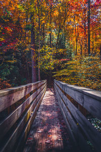 Footbridge amidst trees in forest during autumn