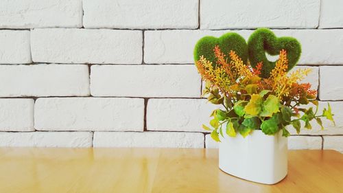 Close-up of potted plant against wall