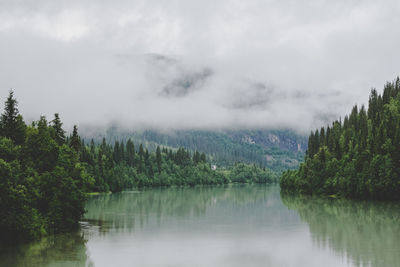 Scenic view of lake by trees against sky