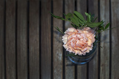 High angle view of rose on table