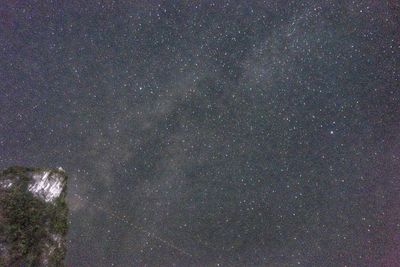 Low angle view of stars in sky at night