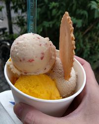 Close-up of hand holding ice cream in bowl