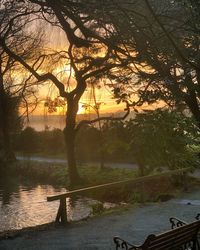 Silhouette trees by river against sky at sunset