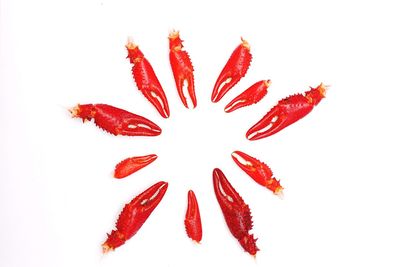 Close-up of red chili pepper against white background