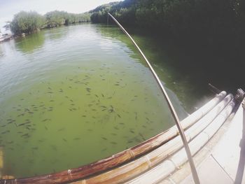 High angle view of leaf floating on lake